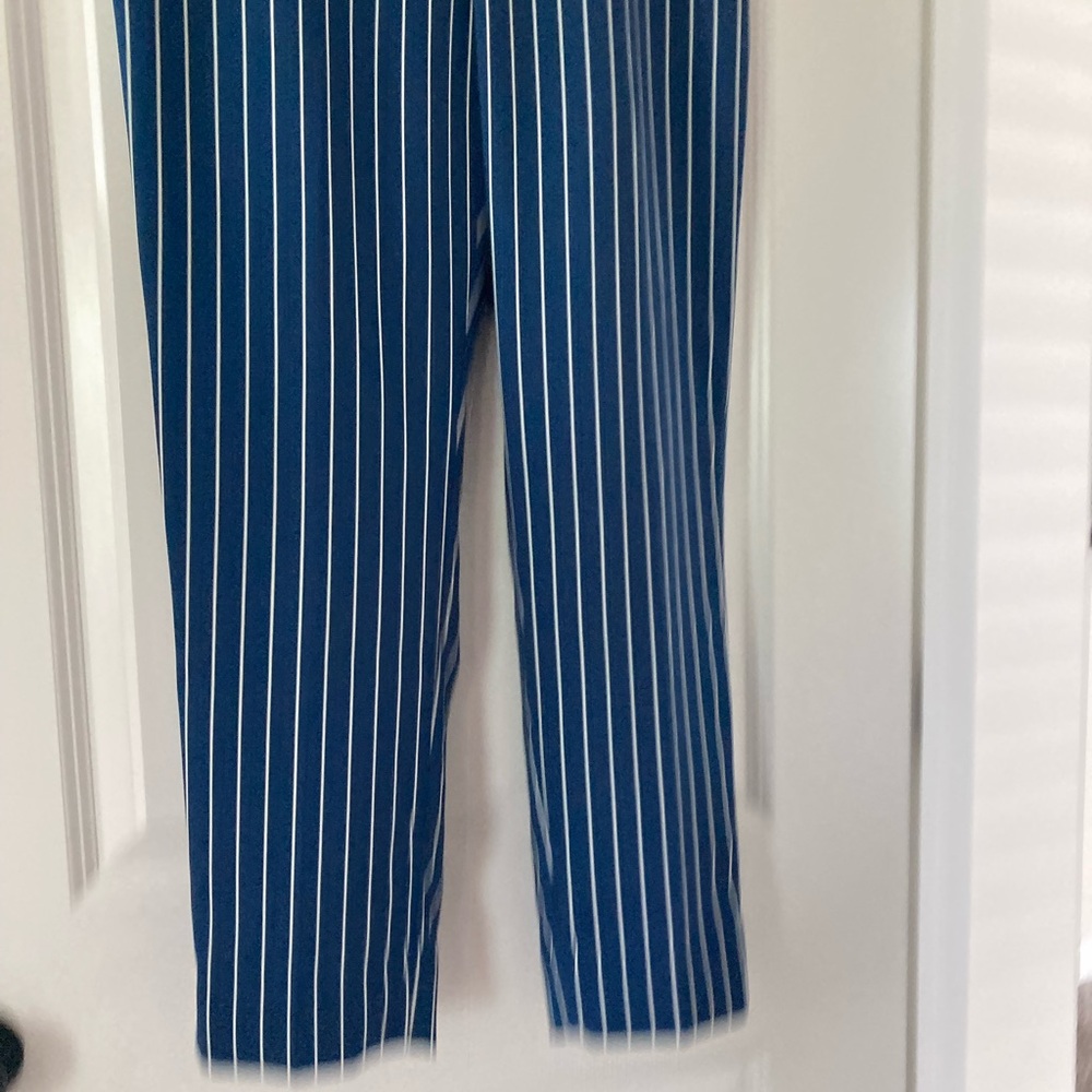 Banana Republic Factory 8 Petite Blue and White Cropped Pinstripe Pants - Picture 4 of 10